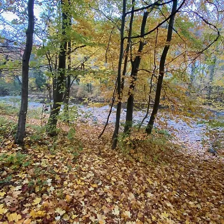 6 Zimmer Luxus Mit Grossem Salon In Der Wienerwald Residenz